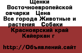 Щенки Восточноевропейской овчарки › Цена ­ 25 000 - Все города Животные и растения » Собаки   . Красноярский край,Кайеркан г.